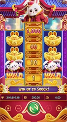 mbg111 · Fortune Rabbit